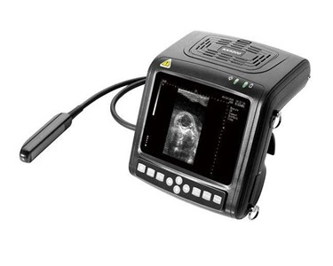 Kaixin - Veterinary Ultrasound |  KX5200V
