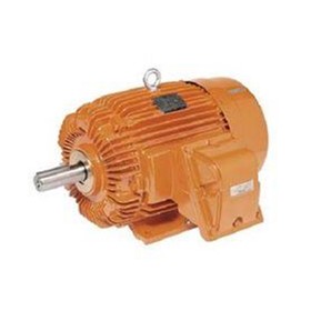 Electric Motor | IEC Certified Flameproof (EXd, EXde)