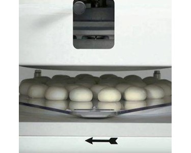 Macpan Dough Divider Rounders