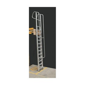 "Pull-out / Push-in" Fixed Access Ladder