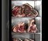 Primeat. HOTDEAL - Primeat Caddy | Meat Aging Cabinet