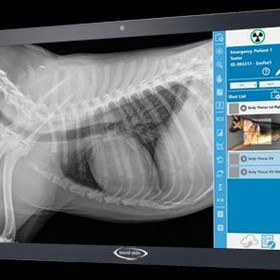 Radiography System | Small Animal Smart DR