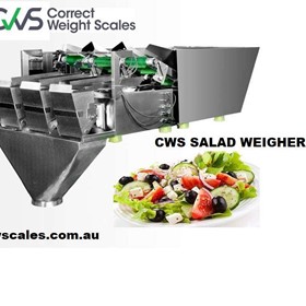 Salad Linear Weigher