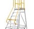 Order Picker Ladder