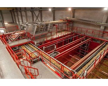 Potato and Onion Sorting Machine
