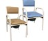 R & R Healthcare Equipment - Economy Bedside Commode With Removable Seat