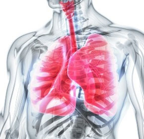 Potential new treatment for cystic fibrosis uncovered