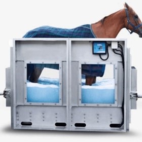 Equine Aquatic Treadmill
