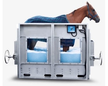 Equine Aquatic Treadmill
