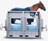 Equine Aquatic Treadmill