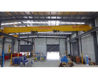 Dual hoist Single girder overhead crane