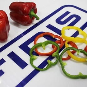 Food & Vegetable Ring Slicing Machine | Sushi Chef Ring Slicer 1.0