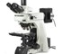 Euromex Delphi-X Observer Metallurgical Microscope