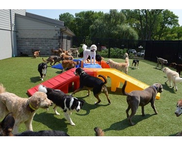 Puppy Playground - Dog Agility Equipment | Pro Series Kits