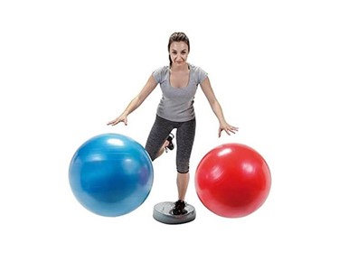 Fitball - Gymnic Plus Fitball 