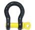 Beaver - Rated Lifting Shackles | Black Rat 4WD Bow Shackles – 342219BK