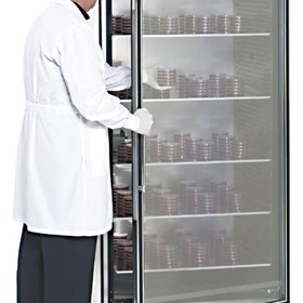 Large-Capacity Reach-In CO2 Incubator, 821 L, Polished Stainless Steel