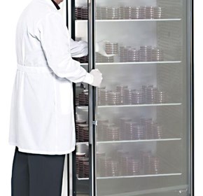 Large-Capacity Reach-In CO2 Incubator, 821 L, Polished Stainless Steel