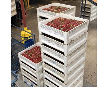 Eco Pallets - Low Height Nally Bin | ECO-BIN 440