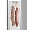 F.E.D - Large Single Door Upright Dry-Aging Chiller Cabinet MPA800TNG-NSW1266