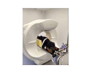 Imaginalis - Vet CT Scanner | Vimago GT30™ Pico System