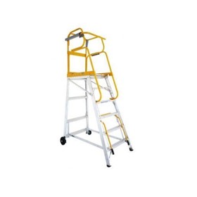 Order Picking Ladder | Mobile Terrain Platform Ladders