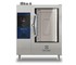 Electrolux Professional - SkyLine Premium Gas Combi Boiler Oven 10×1/1GN, 227862