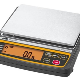Intrinsically Safe Compact Weighing Scale | EK-EP