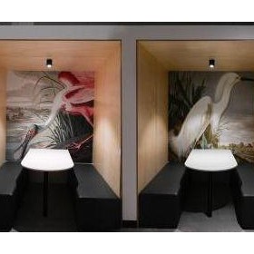 Medical Fitouts | ForestOne - Abbotsford | Icon Interiors