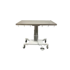 Veterinary Pedestal Exam Table