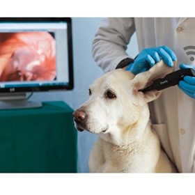 Wireless Veterinary Otoscope