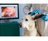 Firefly - Wireless Veterinary Otoscope