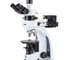 Euromex Polarization Microscope | iScope