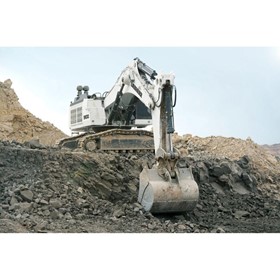 Mining Excavators | R 9100B