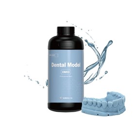 Dental Model (Grey) - DM03