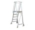 Order Picker Ladder | Wheeled Chassis | 210164