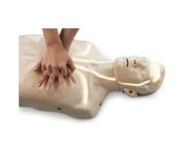 Brayden CPR Manikin | Blood Circulation Display | Mentone Educational 