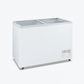 Heavy Duty Chest Freezer with Glass Sliding Lids | WD-200F 