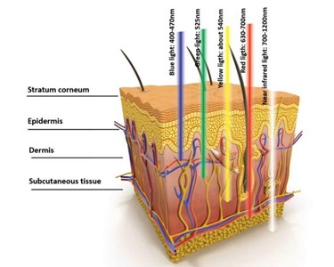 LED device | Dermabrite 