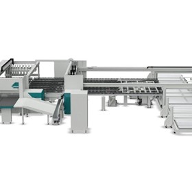 Twin-line panel saw with blade cutting | Rover Cut Up A T