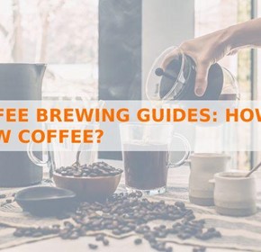 Coffee Brewing Guides: How to Brew Coffee?