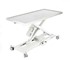 InterAktiv - InterAktiv Veterinary Electric Procedure Table- Stainless Steel Top