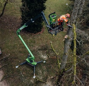 Are Arborists Undervaluing Access Equipment?
