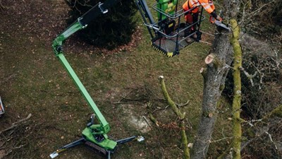 Are Arborists Undervaluing Access Equipment?
