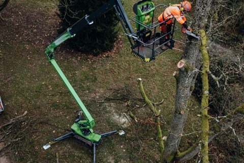 Are Arborists Undervaluing Access Equipment?