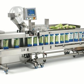 Mail Order Fulfilment Packaging Machine | 850S
