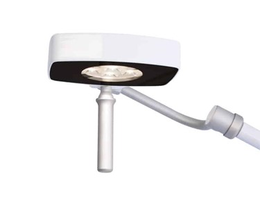 MSL - Veterinary Wall Examination Light