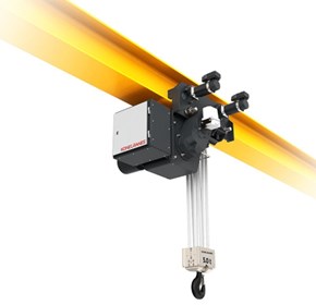 Belt hoist