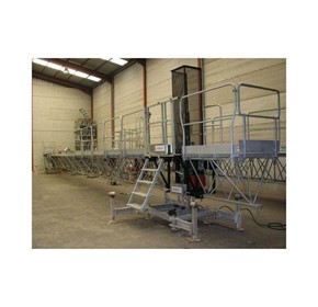 Mast Climbing Work Platform | C2000
