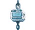 Digital Crane Scales | MSI4300